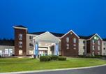 Hôtel Williamsburg - Holiday Inn Express Hotel & Suites Acme-Traverse City by Ihg-2