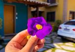 Location vacances Ilhabela - Recanto das Tiribas-4