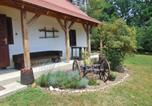 Location vacances Moravske Toplice - Rigó Vendégház-1