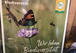 Location vacances Sankt Margarethen im Lungau - Biohof Sauschneider-4