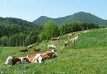 Location vacances Schlehdorf - Gasthof Jachenau-4