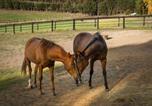 Location vacances Gisborne - Paradise by Tiny Away-3