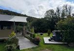 Location vacances Newcastle Emlyn - Ceri-2