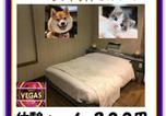 Hôtel Otaru - Hotel Vegas (Adult Only)-3