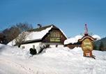 Location vacances Forstau - Hoamatlhütte-1