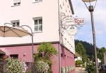 Location vacances Gutach (Schwarzwaldbahn) - Gasthof Rose-3