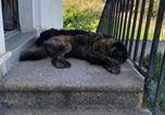 Hôtel Figari - A Loghja Di Cavallo Morto-2