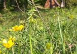 Camping Parc national de Durmitor - Wood & Canyon Camp Brezna-1