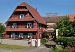 Hôtel Haguenau - Logis Hôtel Restaurant Ritter'Hoft-1