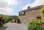 Location vacances Llandeilo - Dan Castell Cottage-3