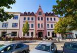 Hôtel Château de Litomyšl - Hotel U Labutě-1