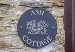 Location vacances Newcastle Emlyn - Ash Cottage-2