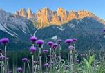 Location vacances Sappada - Casera Onorina Val Visdende-4
