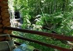 Location vacances Saratoga Springs - Seven Dwarfs Cabin - On The Brook Cabins-2