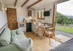 Location vacances Tower bridge - Tan Y Castell Shepherds Hut-3