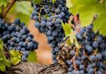 Hôtel Draguignan - Domaine Rabiega - Vineyard and Boutique hotel-3