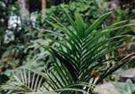 Location vacances Terrigal - The Palm Collective where Relaxation Comes Naturally-3