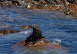 Location vacances Overstrand Rural - Crayfish Lodge Sea & Country Guest House-2