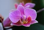 Location vacances Schotten - Altes forsthaus schotten-4