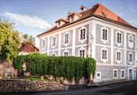 Location vacances Frymburk - Pension Athanor-1