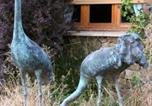 Hôtel Saragosse - Allucant - Gallocanta-4