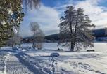 Location vacances Titisee-Neustadt - Waldblick Titisee (W2) + Hochschwarzwald Card-3