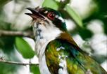 Location vacances St Lucia - Ubizane Zululand Tree Lodge-3
