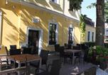 Hôtel Rechenberg-Bienenmühle - Hotel Zlatý Kříž-3