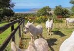 Location vacances Nevern - Penfeidr Newydd-3