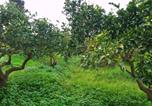 Location vacances Kastelli-Kissamos - Villa Andreas-3