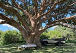 Location vacances Hoedspruit - Leopard's Bend Bush Lodge-4