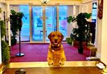 Location vacances Balmacara - The Lochalsh Hotel-4