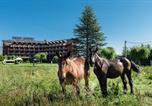 Hôtel Bellver de Cerdanya - Puigcerda Park Hotel-3
