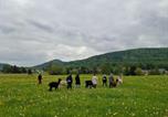 Location vacances Großschönau - Auszeit mit Alpakas-4