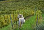 Location vacances Faedis - Tenuta Valdomini-4