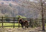 Location vacances Whitchurch - The Cottage at Rocklands Farm-3