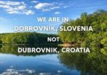 Location vacances Veržej - Hiša Pri Jezeru-2