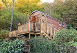 Location vacances Pontarfynach - The Kites Nest-4
