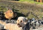 Location vacances Kaisers - Apart Gabriele - Pure Alpin Style-4