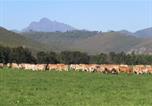 Location vacances Plettenberg Bay Rural - Natures Way Farmhouse-3