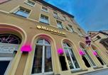 Hôtel Glauchau - Hotel Maison Lemi-1