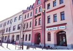 Hôtel Château de Litomyšl - Hotel U Labutě-2