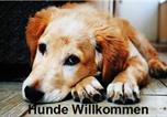 Hôtel Waldkraiburg - Altstadt- und Businesshotel Pfaubräu - Brauereigasthof - Frühstücksbuffet - kostenfreie Radgarage - Hunde willkommen-4