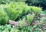 Location vacances Trendelburg - Ferienhaus Urwald-4