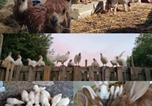 Location vacances Sint-Truiden - Belevingshoeve &quote; de Smishoeve&quote;-3
