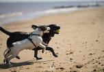Location vacances Bacton - 4 bed Coastal cottage sleeping 10 with hot tub-3
