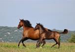 Location vacances Cornillon - Domaine de Gressac-4