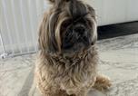 Location vacances  Australie - 6a Hough Street - Sophisticated pet friendly home with air con, wi-fi and linen provided-4