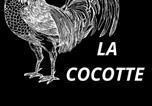 Hôtel Farges-en-Septaine - Logis hôtel la cocotte-1