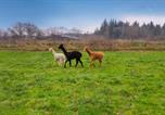 Location vacances Friedrichstadt - Ferienhof Wisch-2